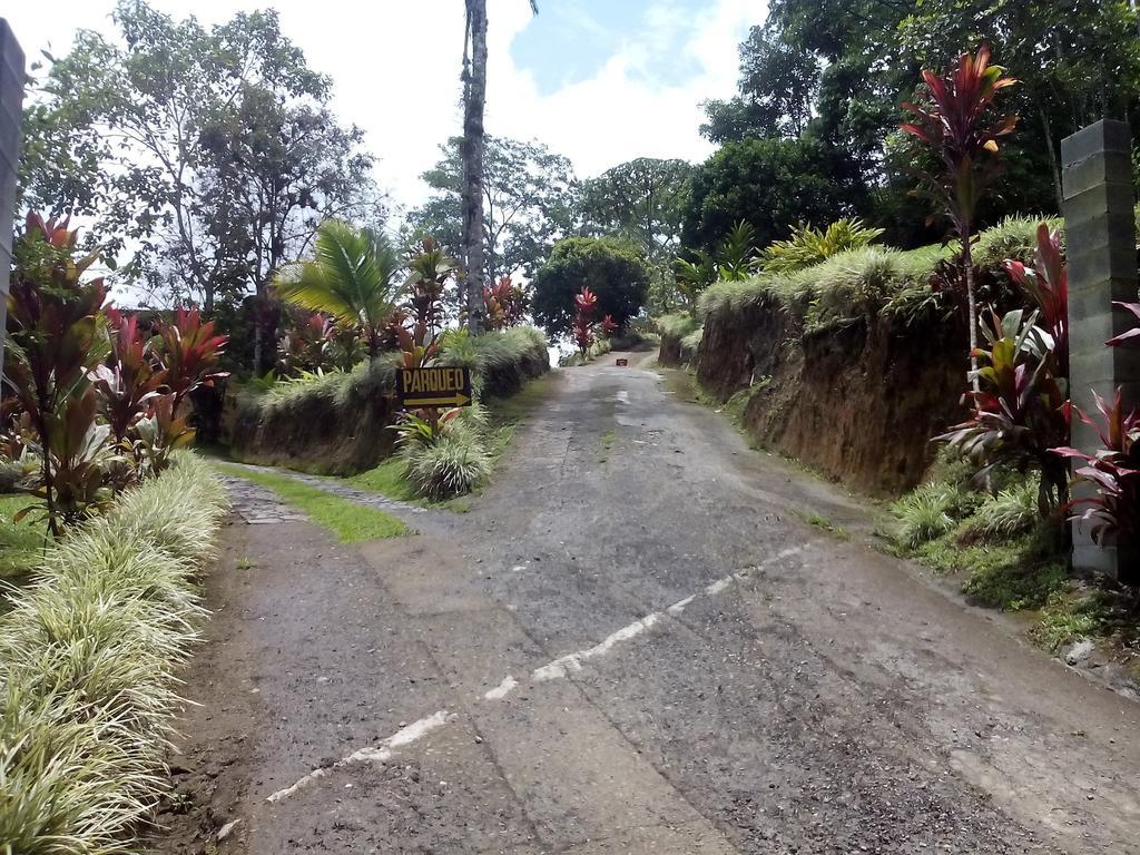 Green Mountain And Lodge Turrialba Habitación foto